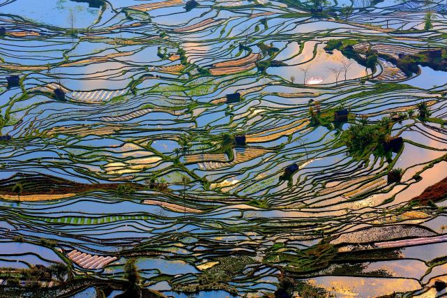 暑假想去云南旅游，有哪些旅游城市可以推薦