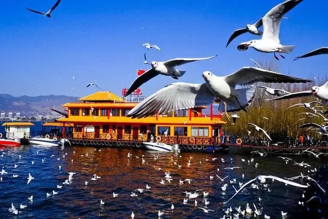 云南品質(zhì)游旅行社推薦，云南旅游選擇品質(zhì)旅游有什么優(yōu)點(diǎn)