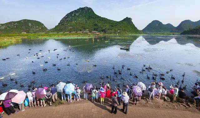 春節(jié)云南特輯 | 人少景美！春節(jié)云南旅游線路推薦十