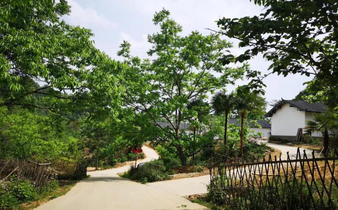 云南鄉(xiāng)村旅游，“玩”出特色！德宏：打好發(fā)展組合拳