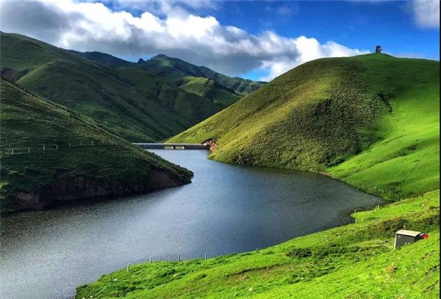 云南露營場地：夏天的大海草山，已經(jīng)美成了天堂！