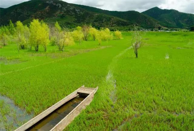 云南會展策劃：關于瀘沽湖的好風景，都想與你分享！