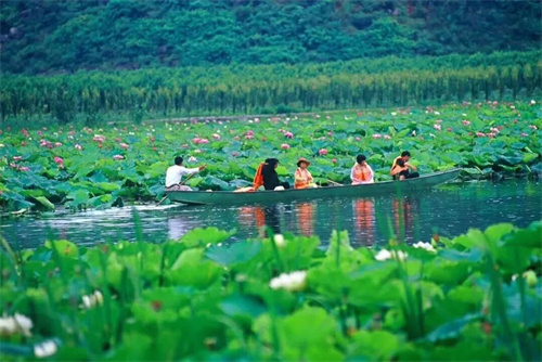2022普者黑夏令營(yíng)：山水田園，萬(wàn)畝荷花游學(xué)，探訪彝族古村，感知民族文化！