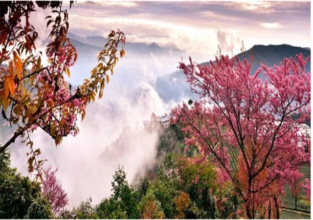 【聚焦旅交會(huì) 相約游大理】來南澗，在彝鄉(xiāng)體驗(yàn)自然之謎與民族之美