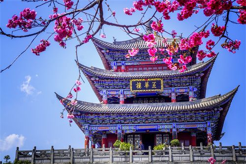 疫情過(guò)后，給自己來(lái)一場(chǎng)放縱的旅行...麗江的夏天愿你更美！