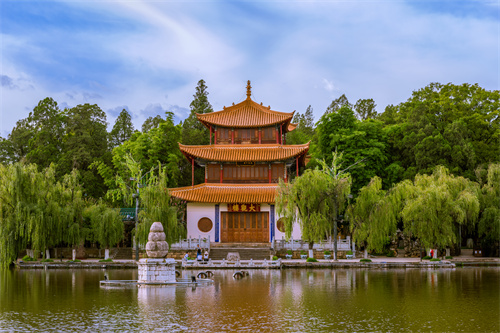 春暖四時(shí)，花開昆明，感受春城初春之美！