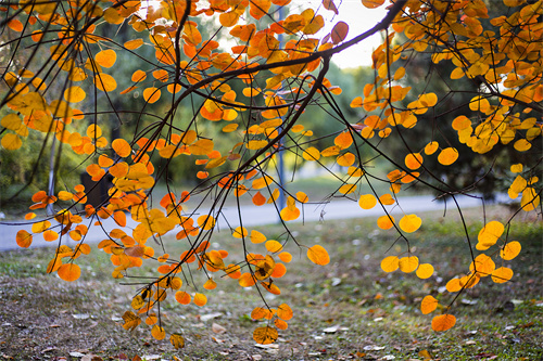 云南文創(chuàng)雪糕火出圈，“雪糕+景點(diǎn)”網(wǎng)紅式打卡驚靚一夏！