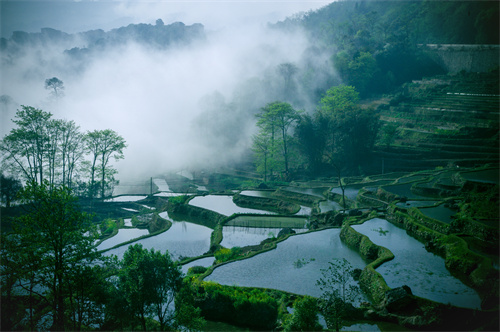 鄉(xiāng)村健康養(yǎng)生產(chǎn)業(yè)的客戶(hù)群體有哪些？它有什么開(kāi)發(fā)要點(diǎn)？