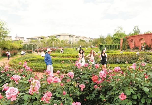 云南旅游,云南旅行社,云南團(tuán)建公司,云南策劃公司,云南會(huì)議公司,昆明旅游,昆明旅行社,昆明團(tuán)建公司,昆明策劃公司,昆明會(huì)議執(zhí)行：旅居昆明，在花海里通關(guān)四季！花歷正在更新，等你來簽收春天→